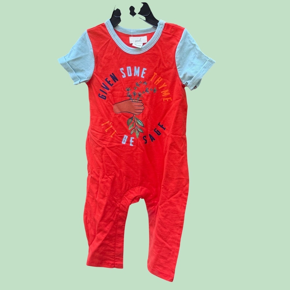 Peek Kids Baby Romper Given Some Thyme I'll Be Sage Red Blue 12-18M NWT